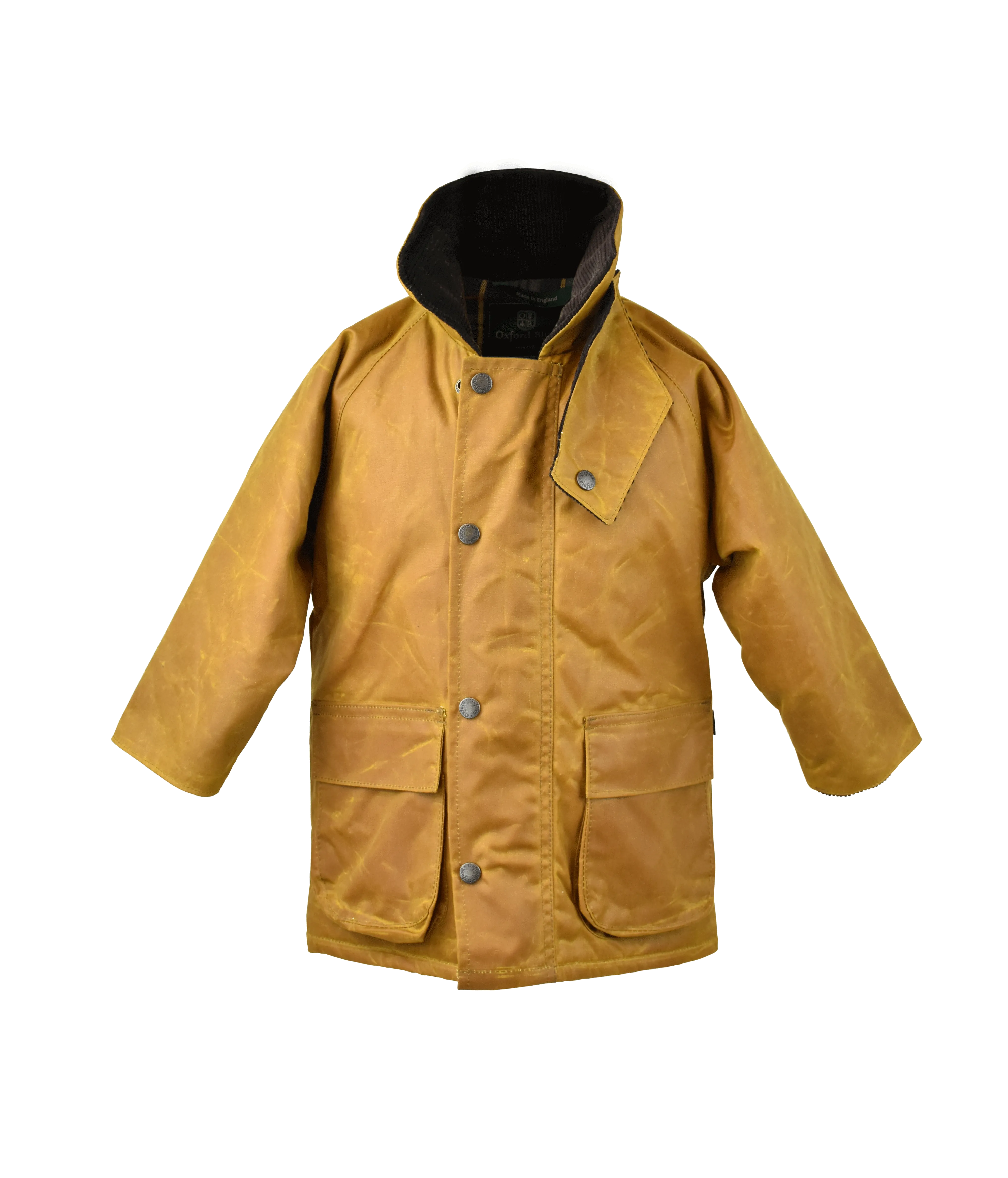 KW18K - Junior Knightsbridge Wax Jacket - GOLD